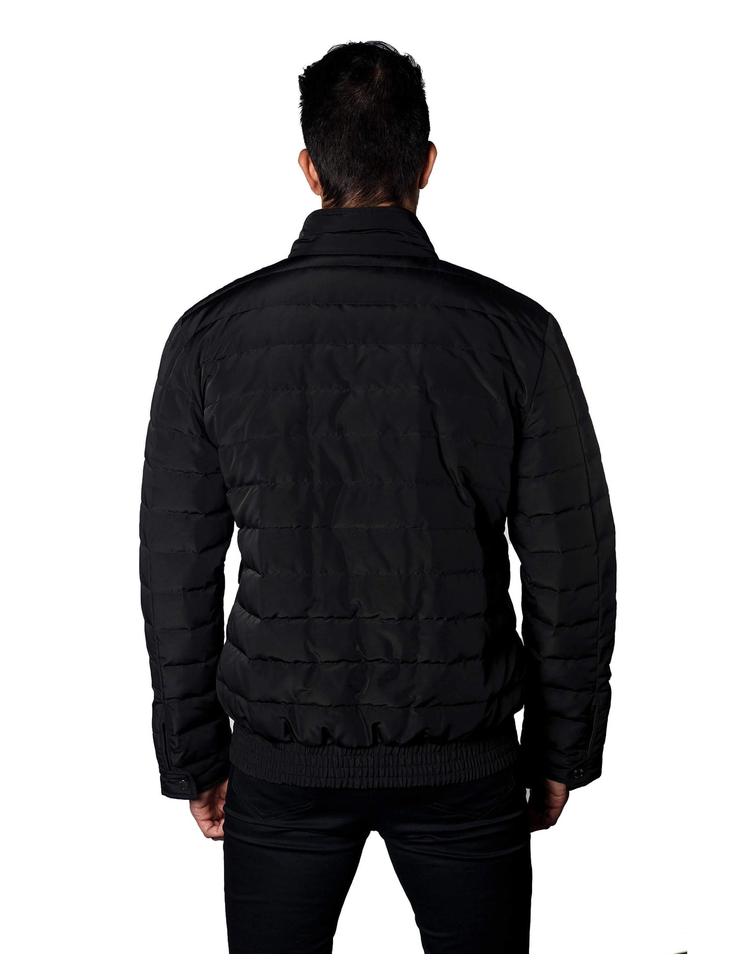 Black Moto Down Quilted Jacket Chicago 2A - Back - Jared Lang